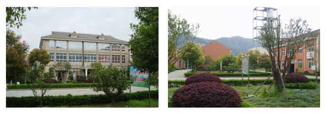  Shaoxing Applied Chemistry Research Institute.